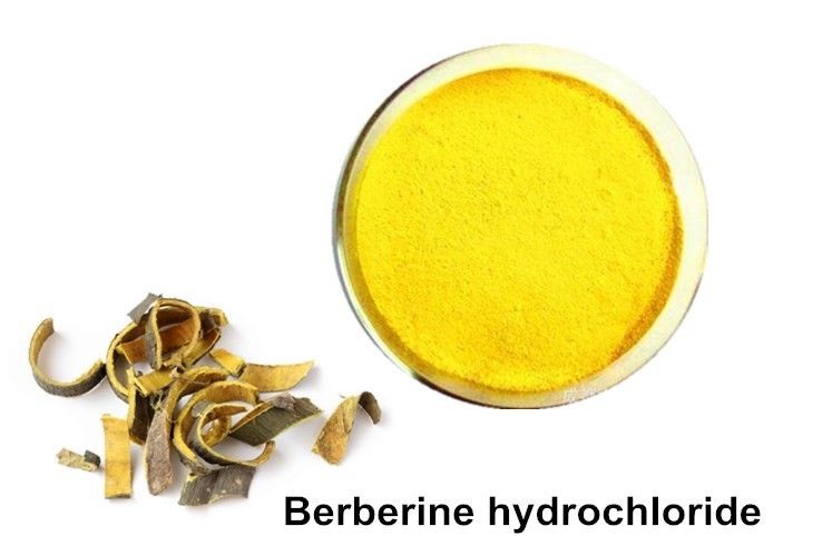 NHỮNG TÁC DỤNG LÂM SÀNG THẦN KÌ CỦA BERBERIN
